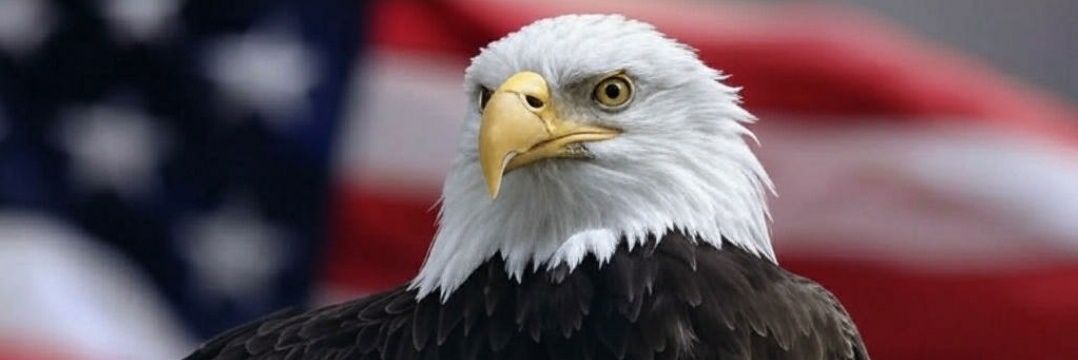 🇺🇸 🇺🇸 🇺🇸 🙏 banner