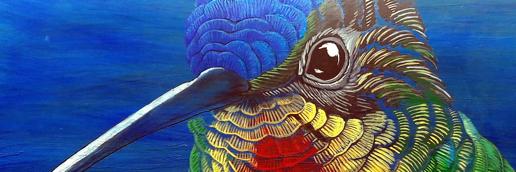 brujo_indomito's profile banner image