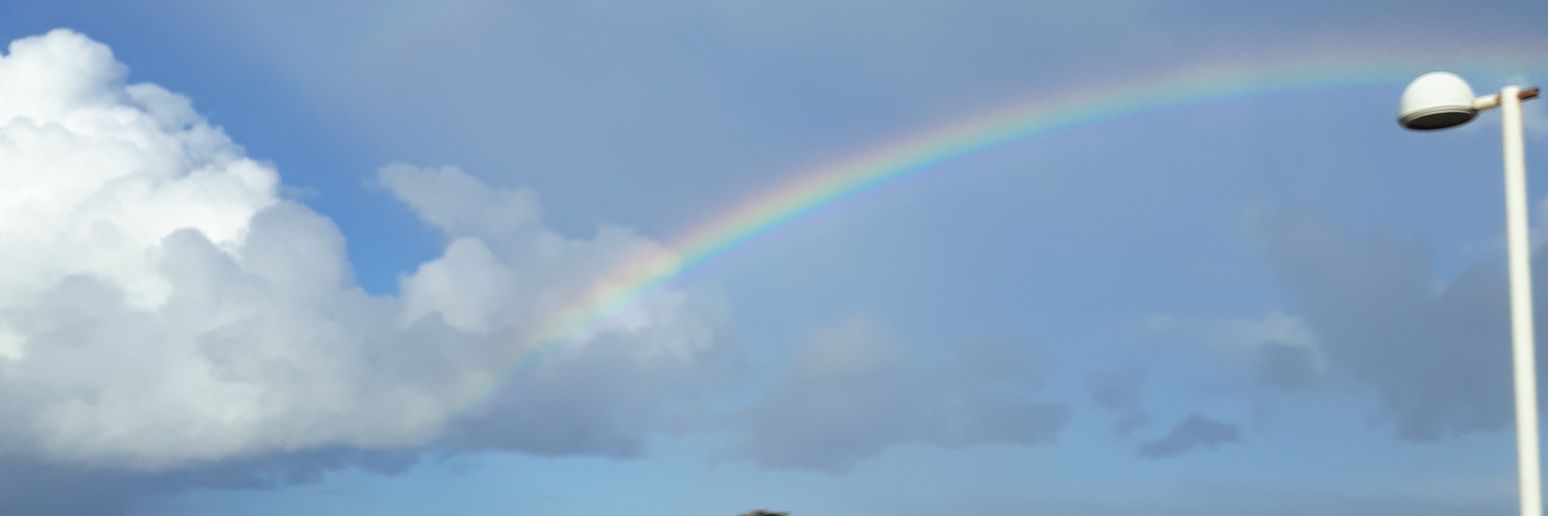 TaiAndrade's profile banner image