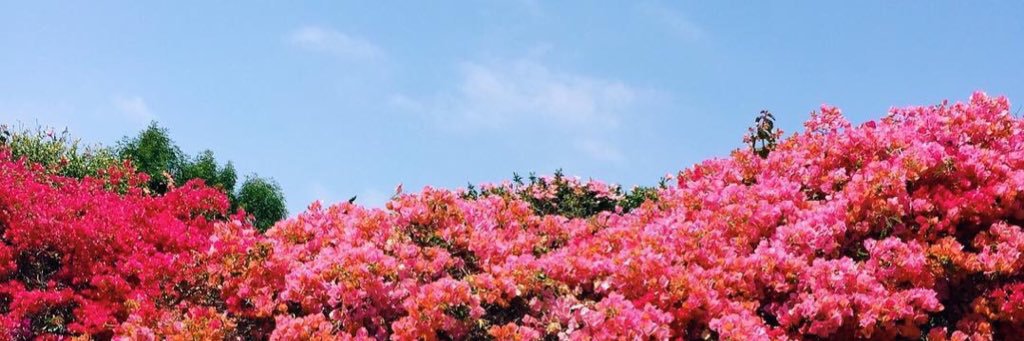 YIENN4's profile banner image