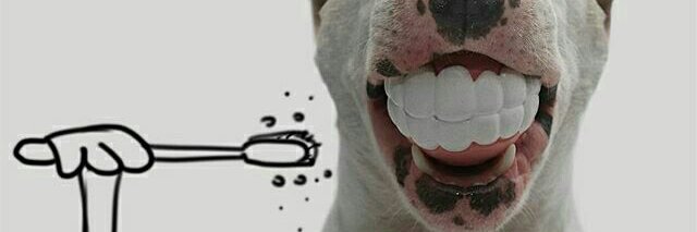 MincoDermois's profile banner image
