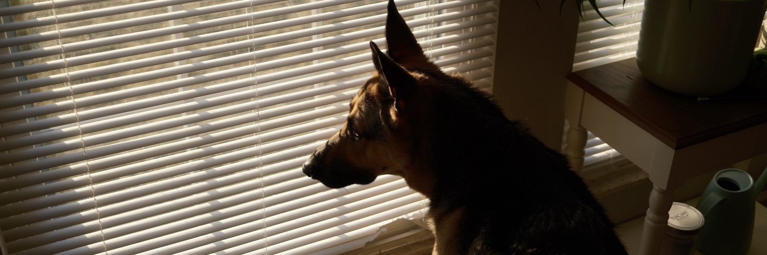 Seancoppens's profile banner image