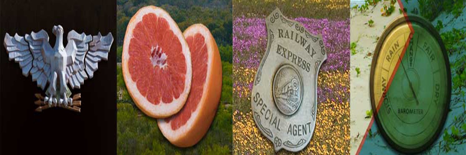 TXTropicalTrail's profile banner image