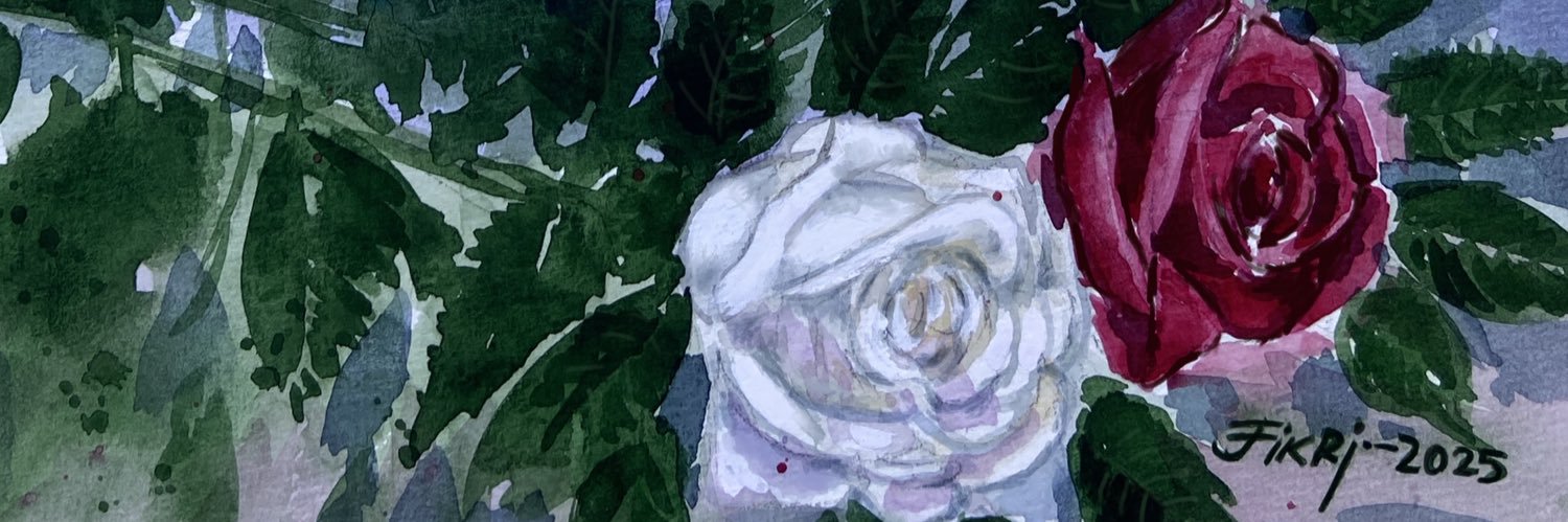 fikrisalmannn's profile banner image