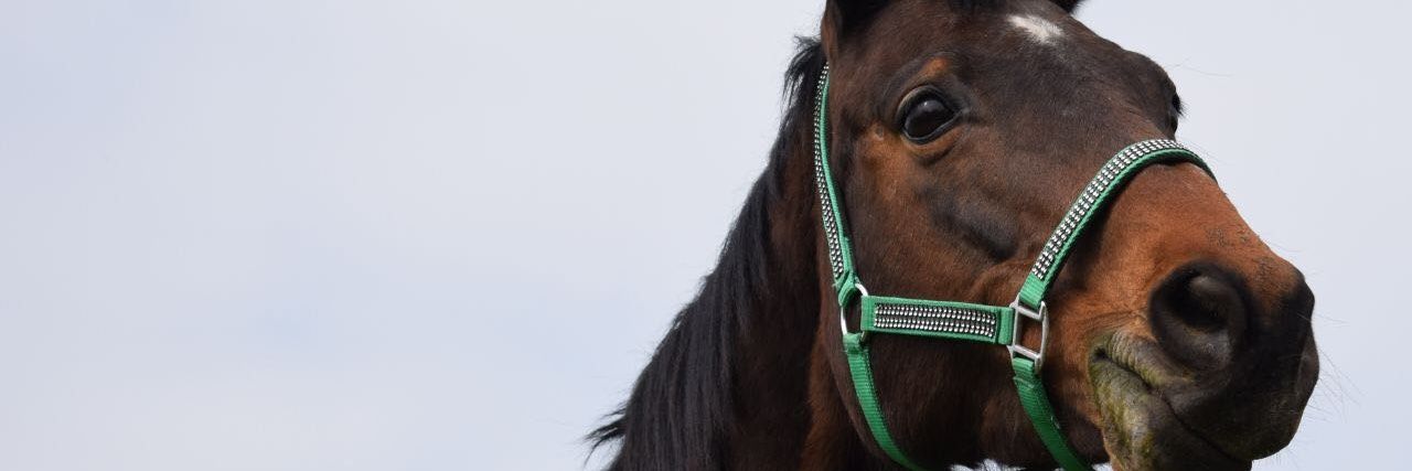 BarbaraBehrend's profile banner image