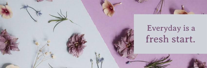 Sneha ✨️ banner