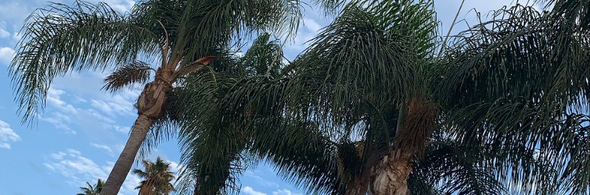teeh33's profile banner image