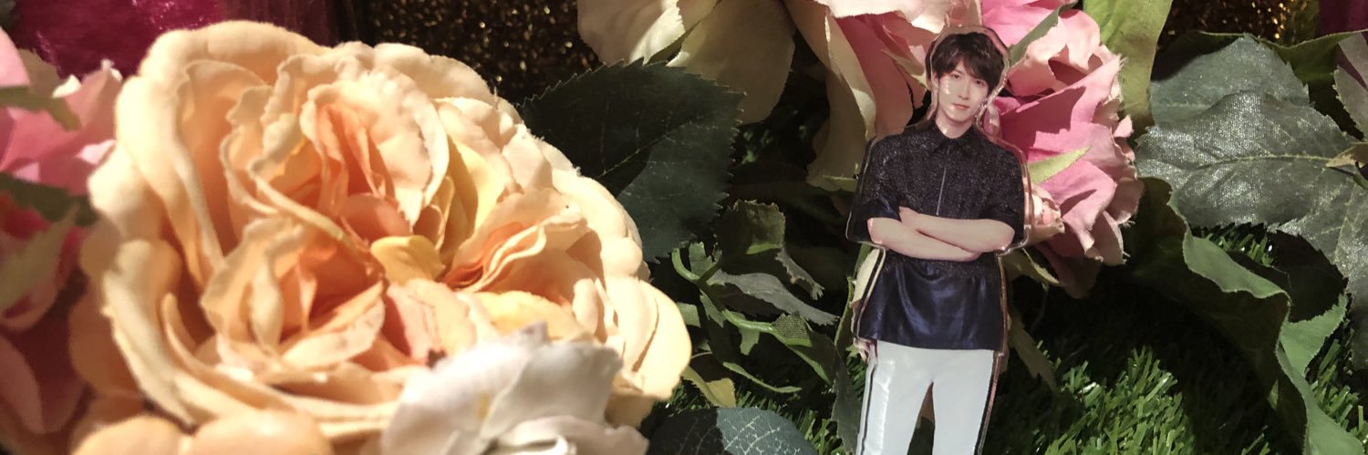 HS0015MM's profile banner image