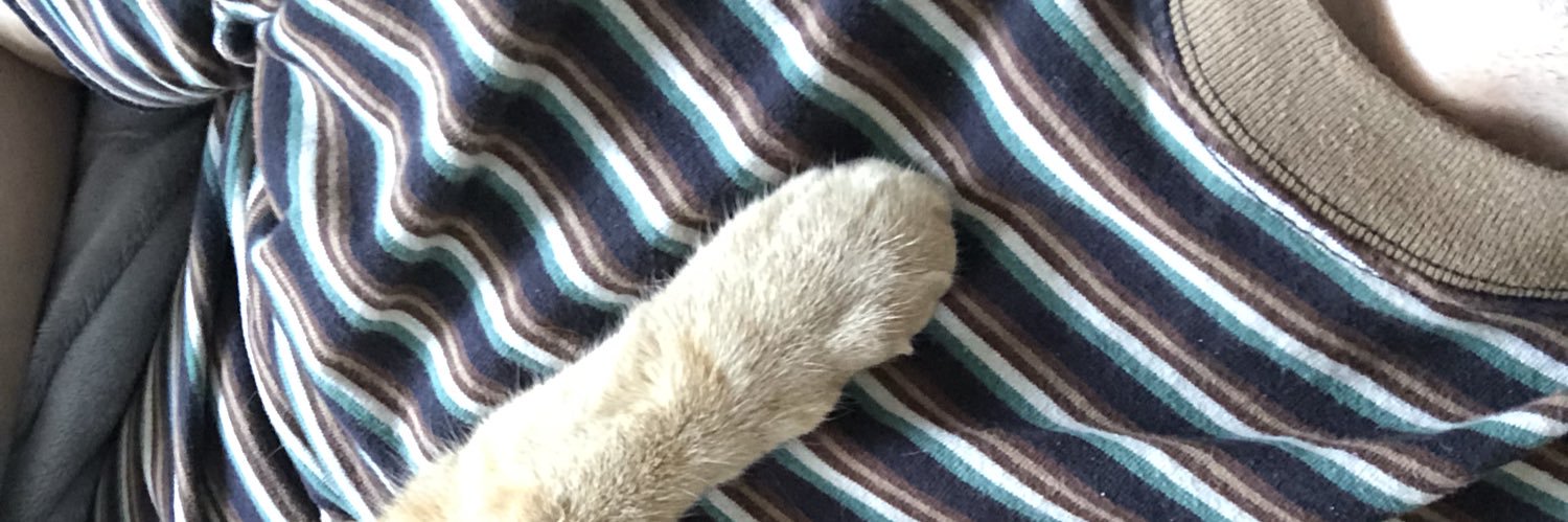 PNorrr's profile banner image