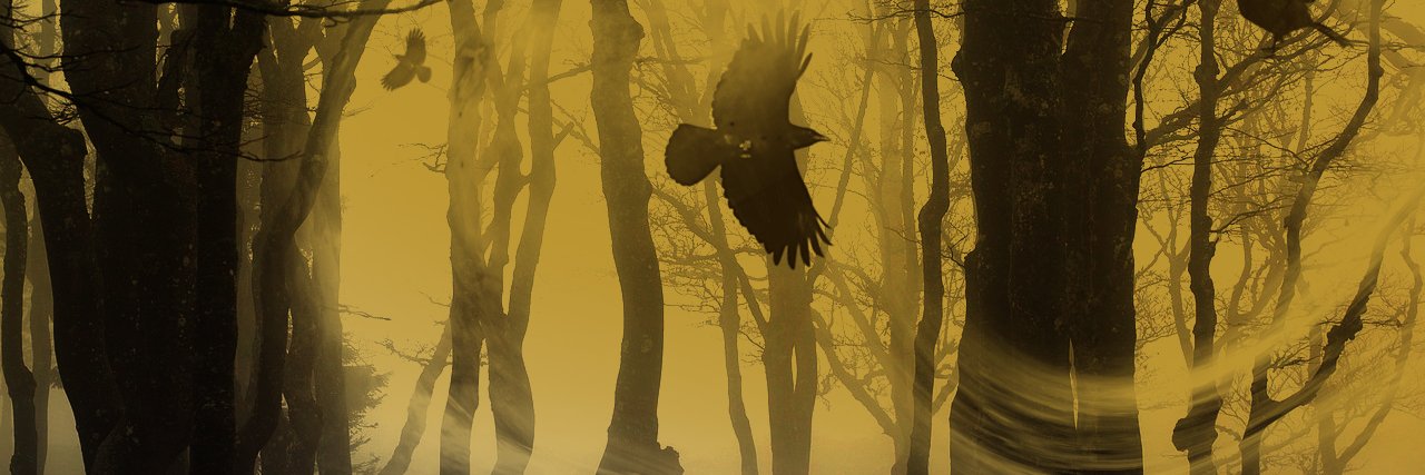 CherieRayner's profile banner image