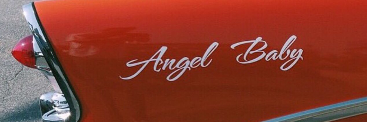 ˖⁺  ˖⁺  ˖⁺ banner