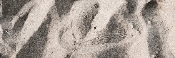 Rbktkl_'s profile banner image