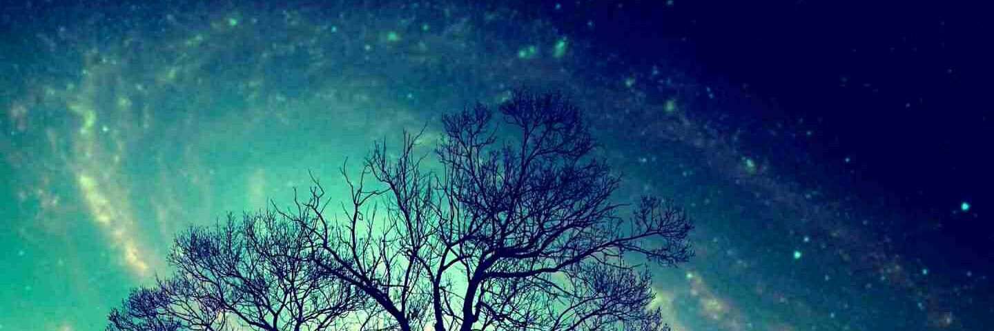 Agnes_Valderama's profile banner image