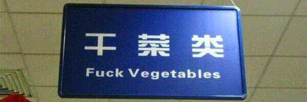 lidivangool 方丽荻 banner