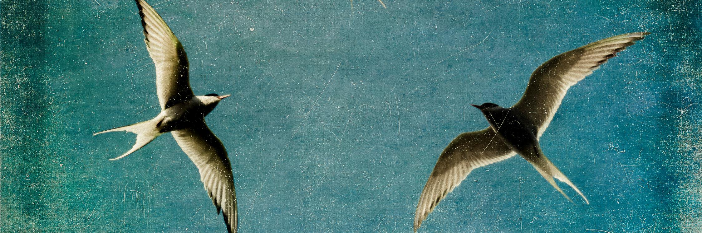 Oldfolky2's profile banner image