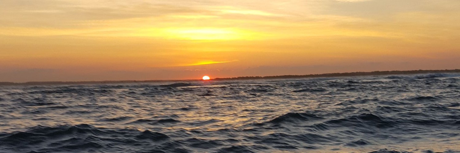 sincerebelly's profile banner image