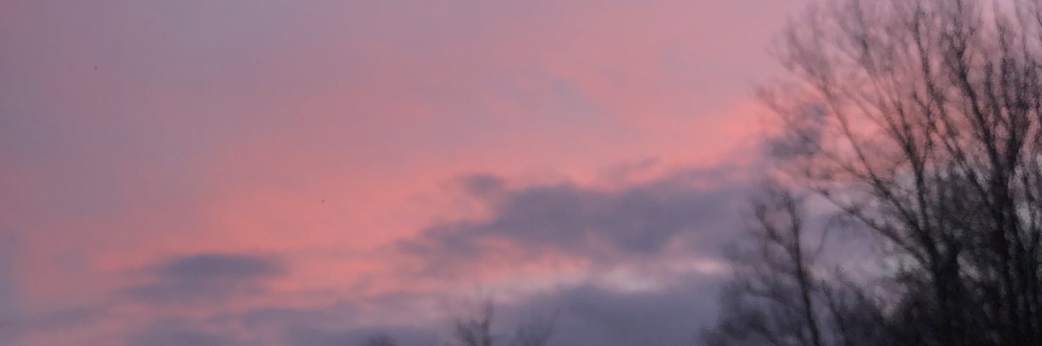 DLewhat's profile banner image