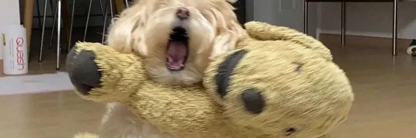 agvjoal2's profile banner image