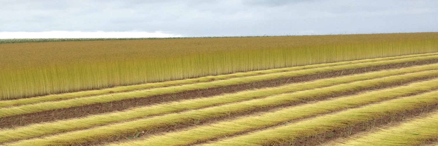 Mathias Bricout banner