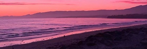 NyteOwlCindy Profile Banner
