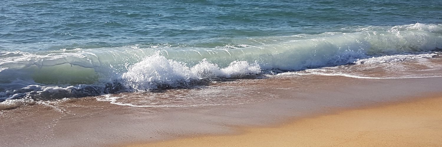 Lulloly 🐳🚜 banner