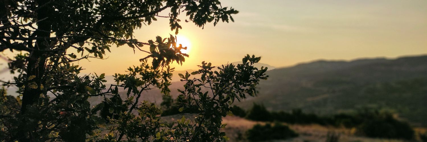 kvsr202's profile banner image