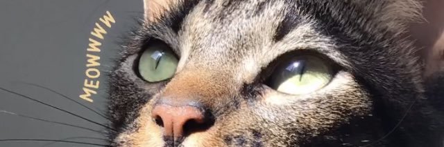 thauansqr's profile banner image