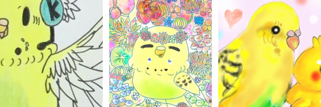 corochan2015's profile banner image