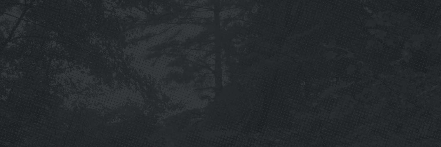 ChelseaArruda's profile banner image