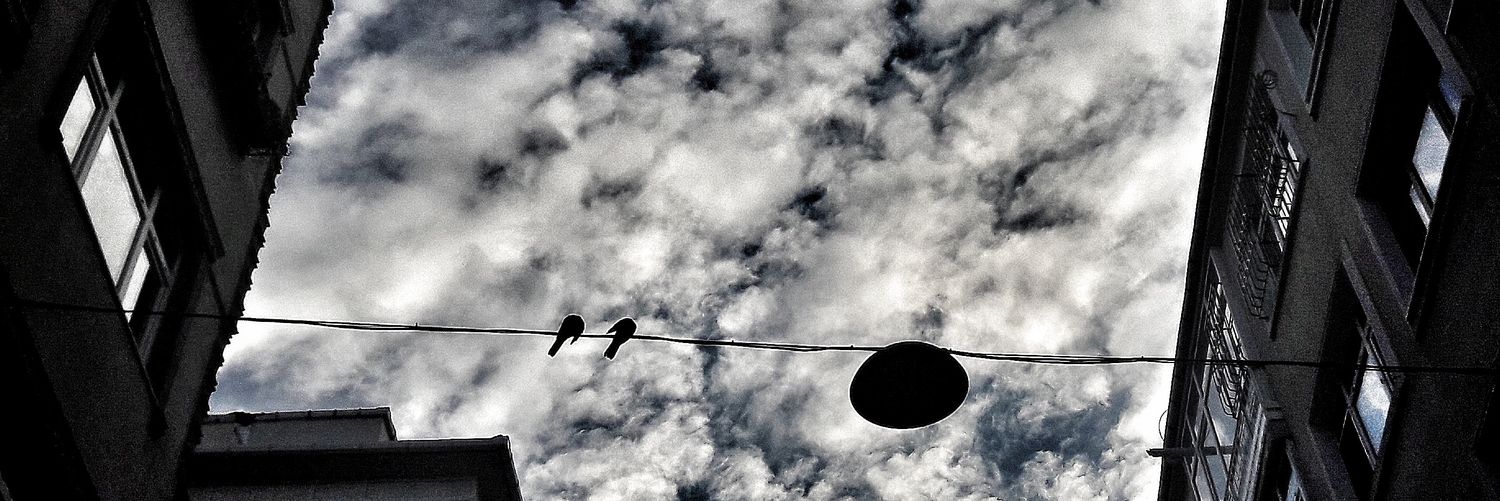 gizerb's profile banner image