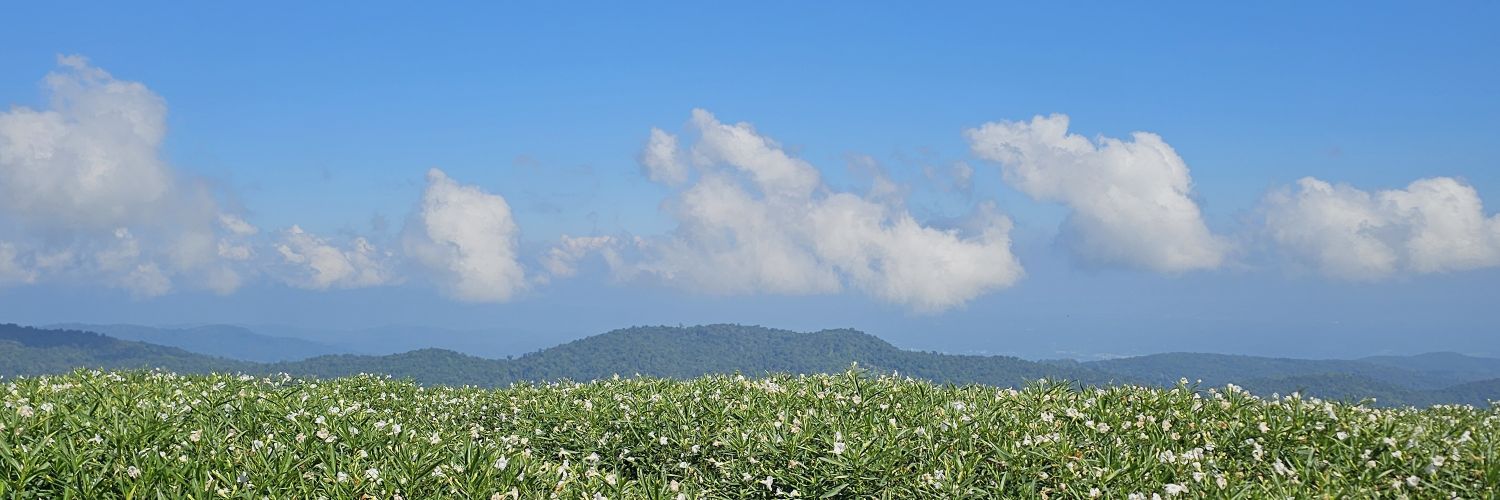thanderthanjai's profile banner image
