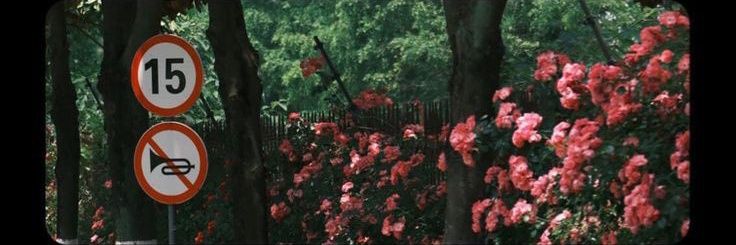 unitopiaurora's profile banner image