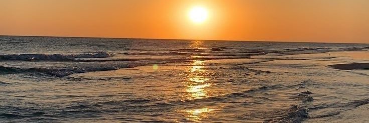 luisaa_almeida's profile banner image