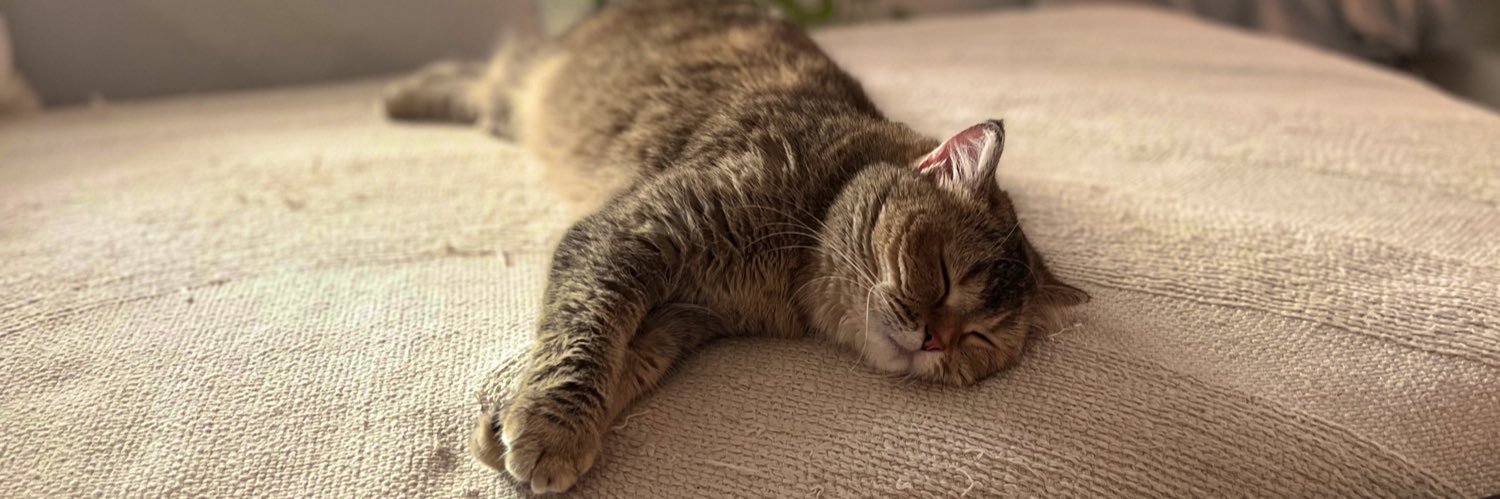 تی‌ناچی banner