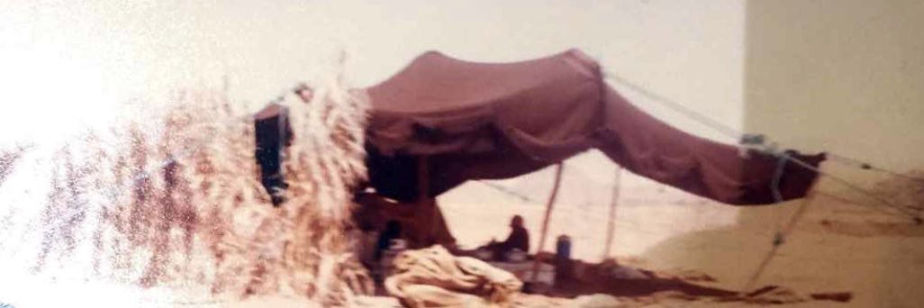 thammerwalem's profile banner image