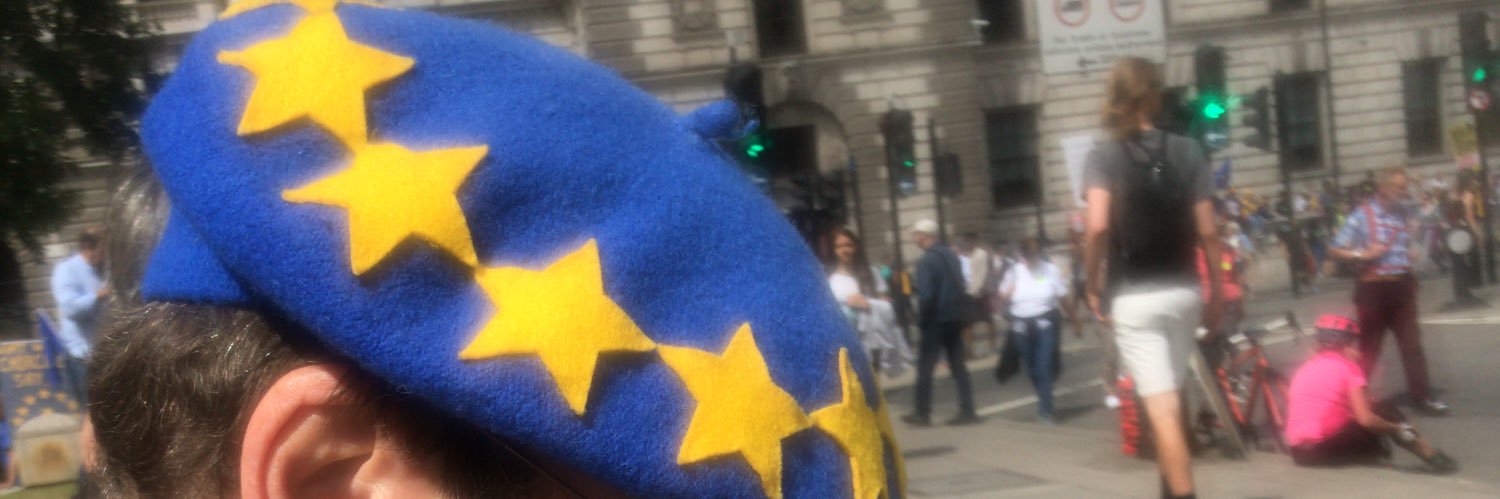 Catherine Bearder🇪🇺 🇺🇦🇺🇦🇪🇺🔶's banner