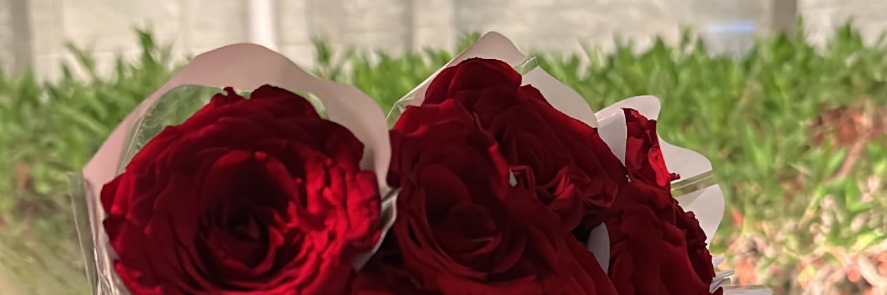 doxj5's profile banner image