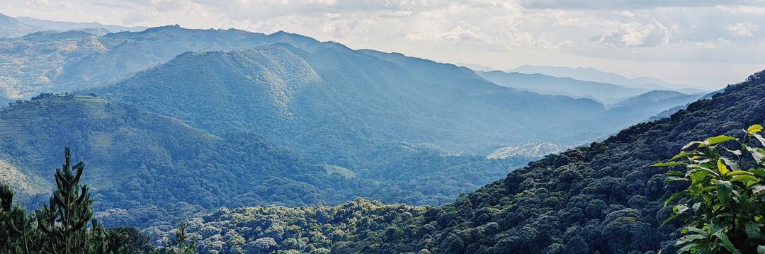 markduncanagaba's profile banner image