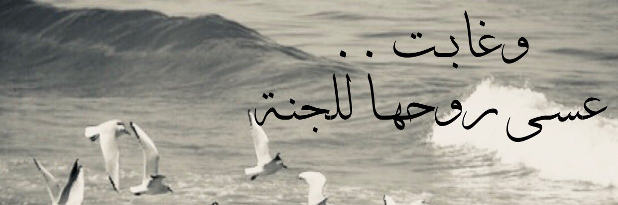 Я̩̥̊ēēM̷̜ɪ̇♡ banner