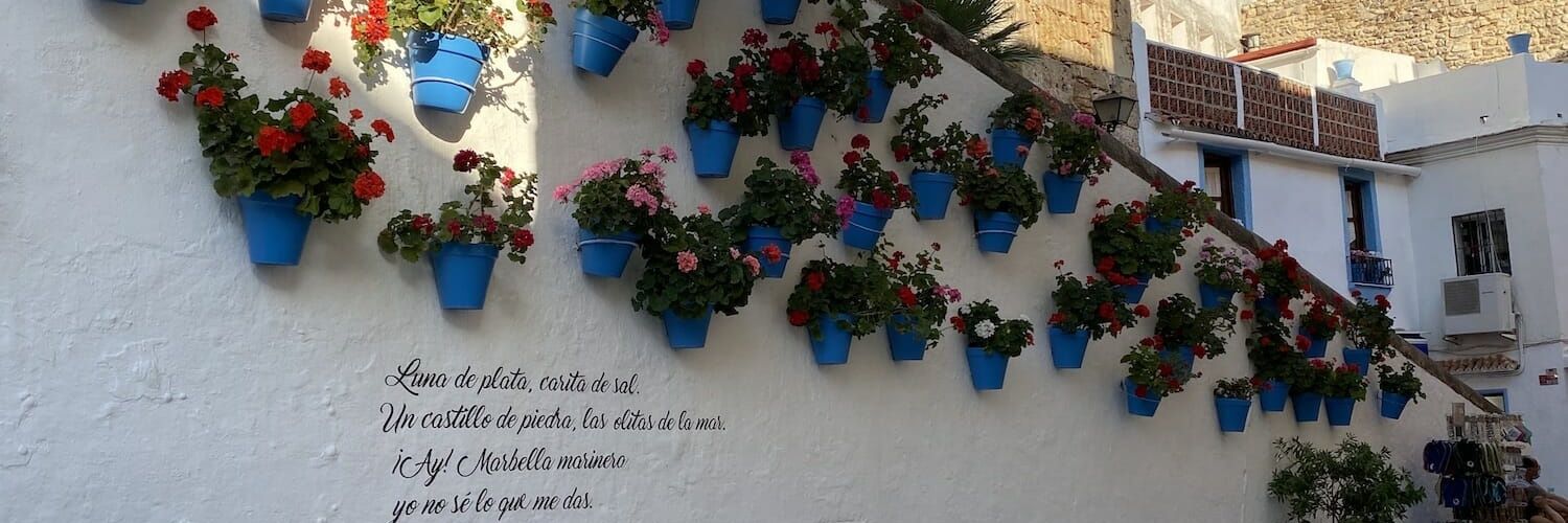 Ana M.Ponz banner