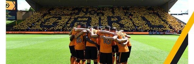 whaleywolves's profile banner image