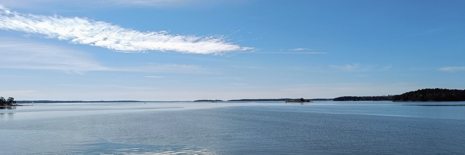 Vesapat's profile banner image