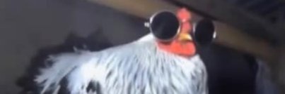 Goofyahhbakr's profile banner image