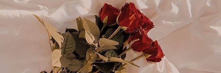 OrinRirin's profile banner image