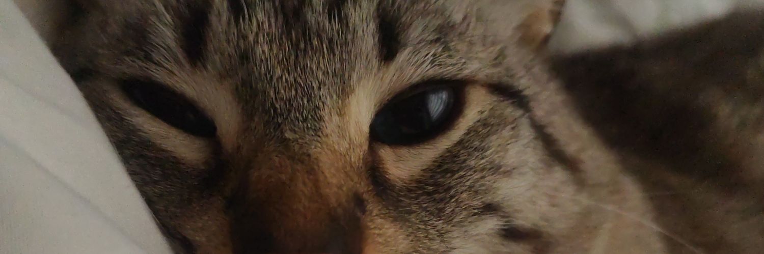 _Carloti_'s profile banner image