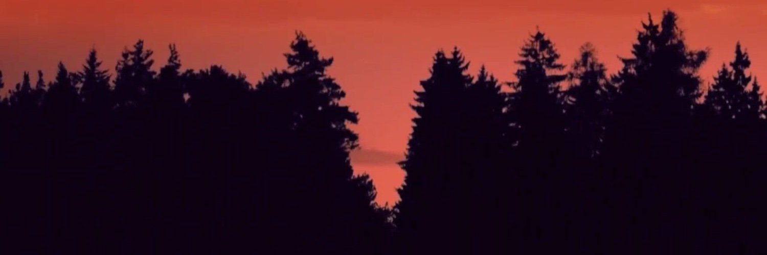 jasper_freeman3's profile banner image