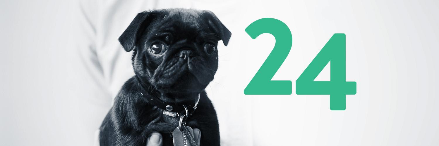twenty4_digital's profile banner image