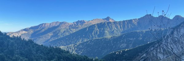 Miropress Profile Banner