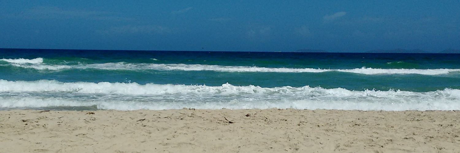 Daniela Esis banner