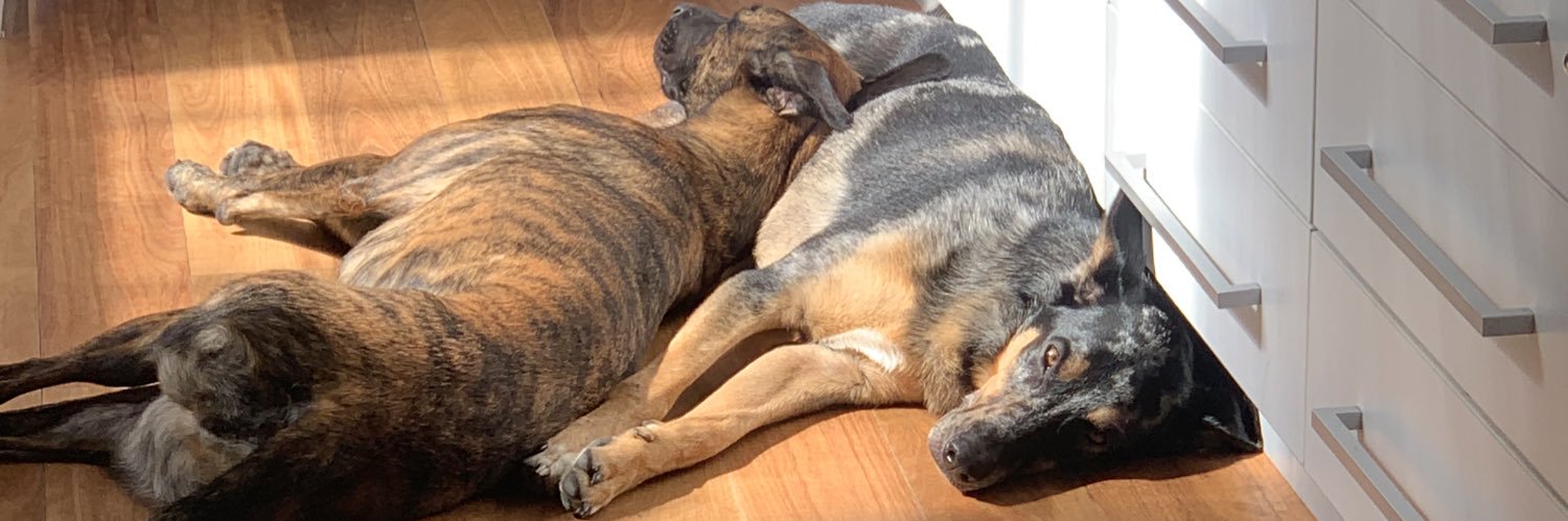 James Richardson banner